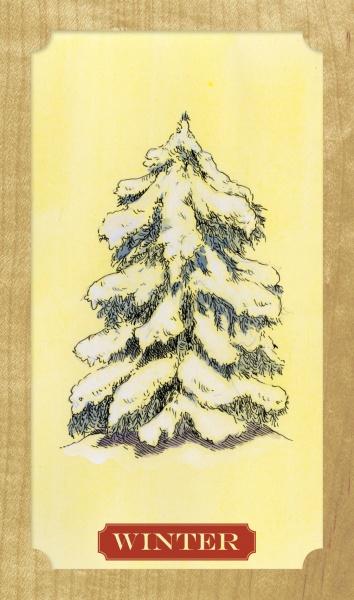 Tree of Life Oracle Cards